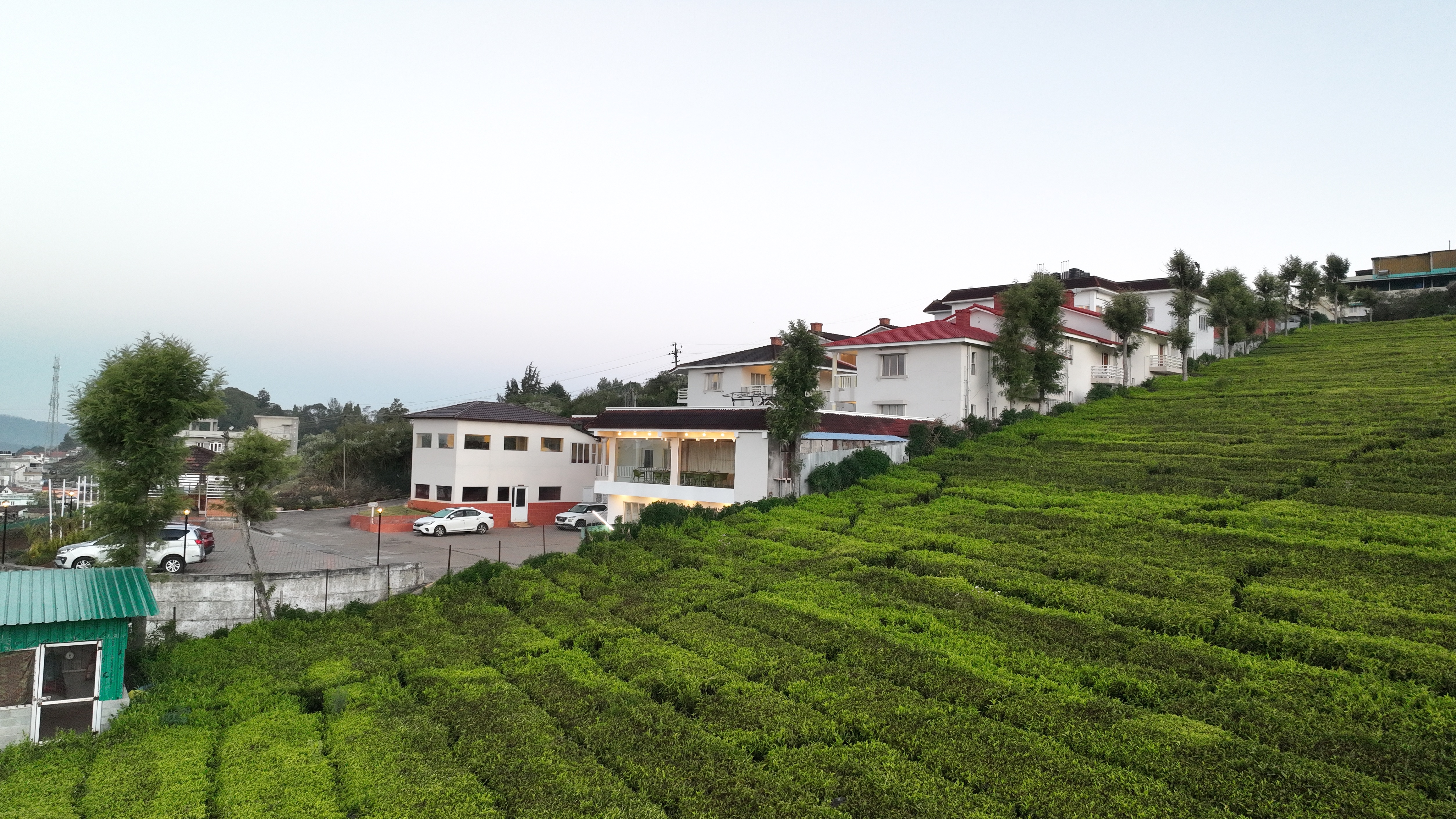 LMS Palve Sugavasam Ooty resort surrounded by lush tea plantations, offering luxury accommodation and scenic Nilgiri Hill views.